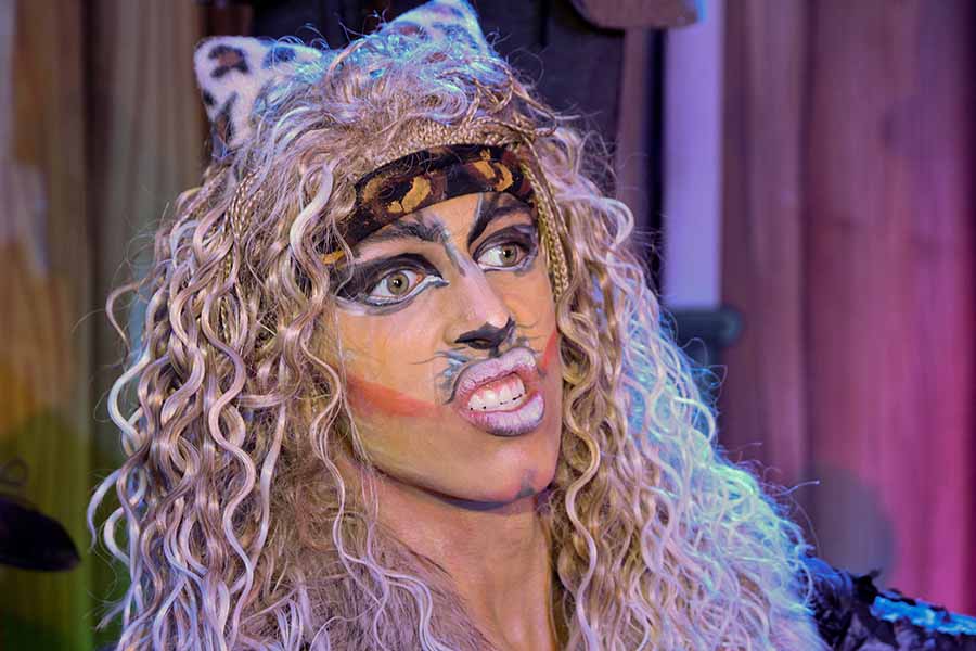 Cats
